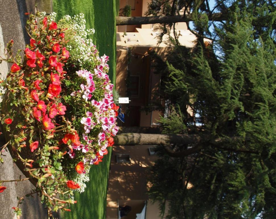 Residence La Madonnina Peschiera del Garda Exteriér fotografie